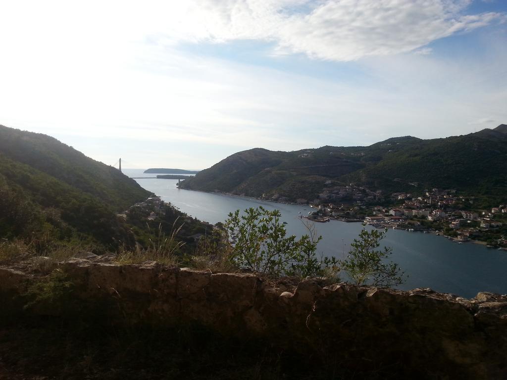 Mare S Mora